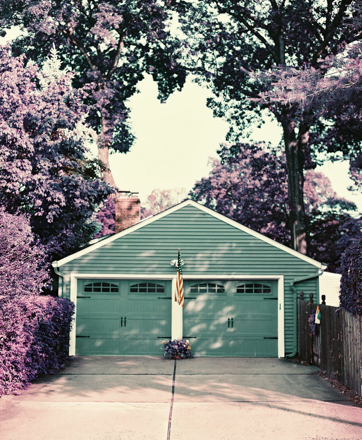 LomoChrome Purple 35mm ISO 100-400