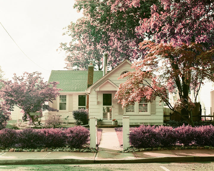 LomoChrome Purple 35mm ISO 100-400