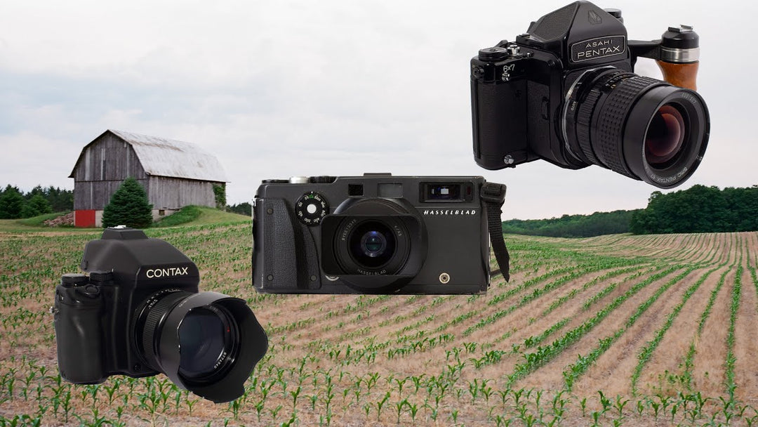 3 Film Formats with Kodak Ektar in Michigan