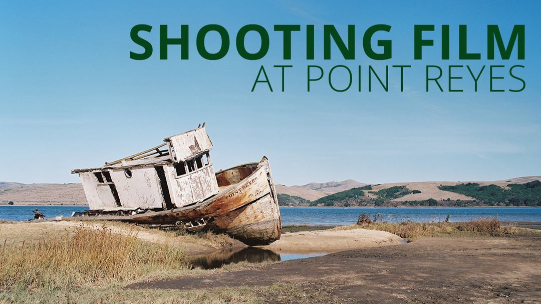 Shooting Film at Point Reyes