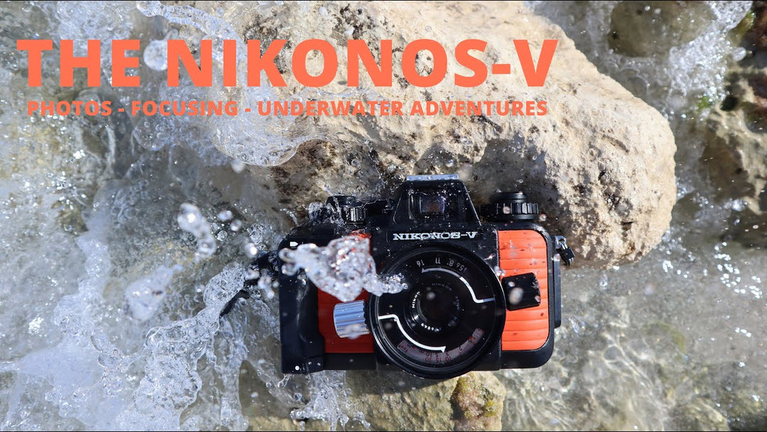 Nikonos-V Underwater Film Photography: Shooting Film in the Ocean