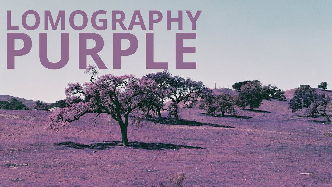 Lomography Purple Film Review: Shooting with the Pentax 67II
