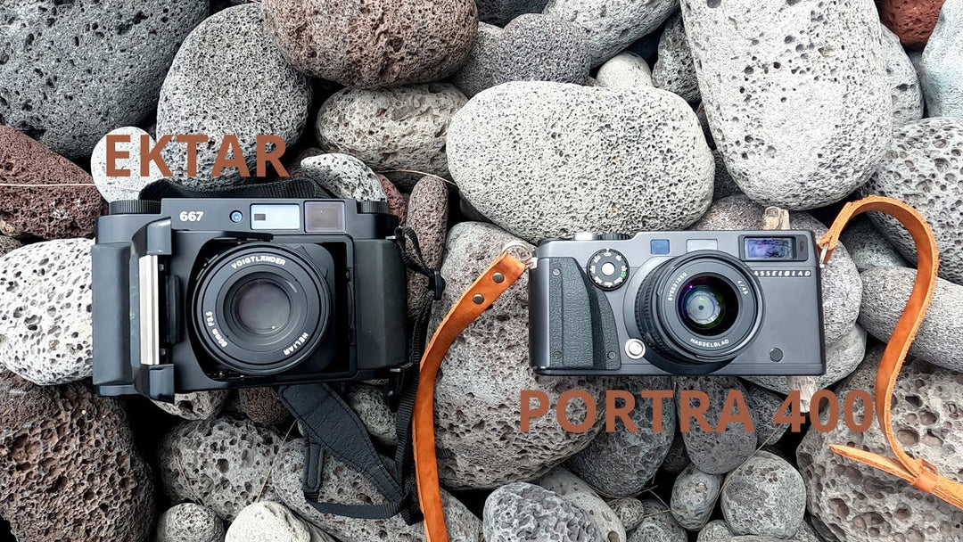 Kodak Ektar vs Kodak Portra 400: A Side-by-Side Comparison in Hawaii