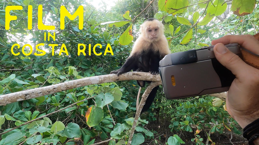 Film in Costa Rica: Hasselblad XPan, Contax G1 and Yashica T4