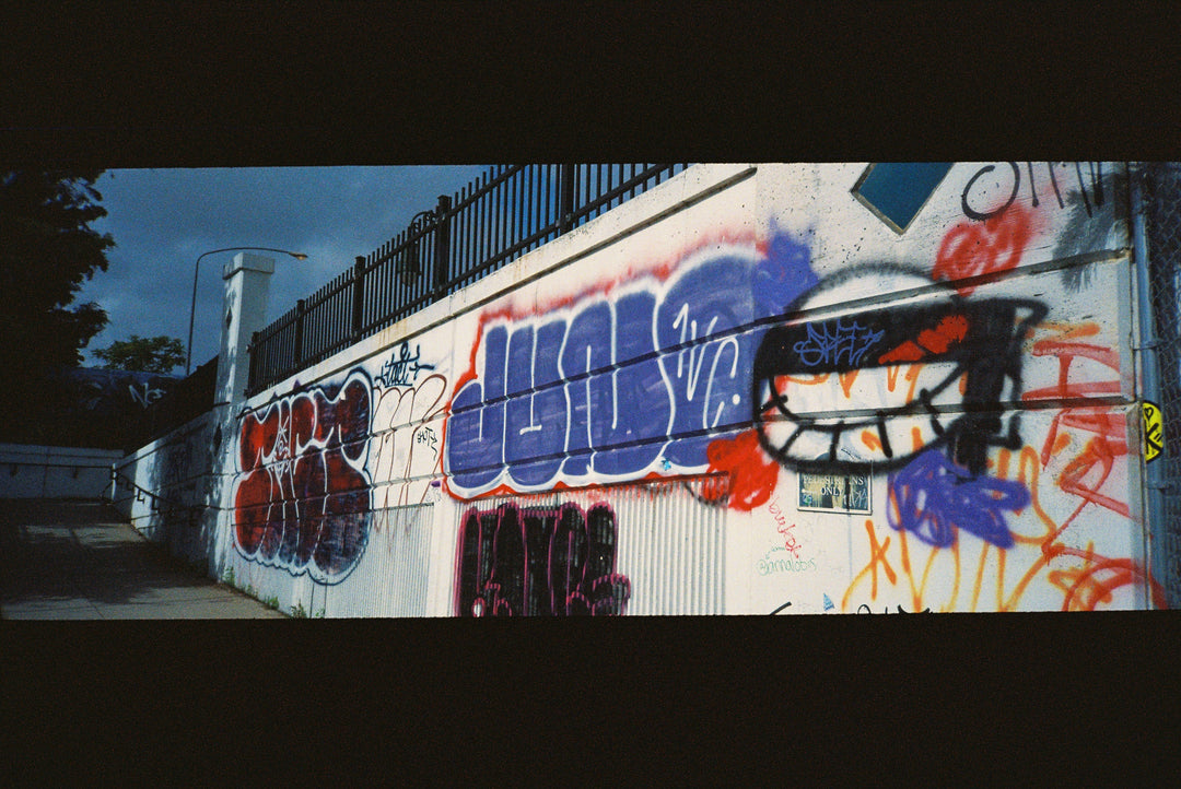 Minolta Freedom Vista QD (panoramic point-and-shoot) (film tested!)