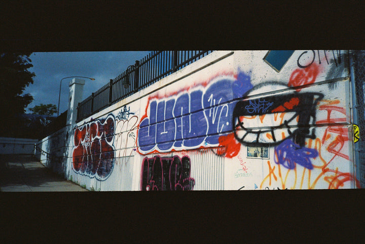 Minolta Freedom Vista QD (panoramic point-and-shoot) (film tested!)