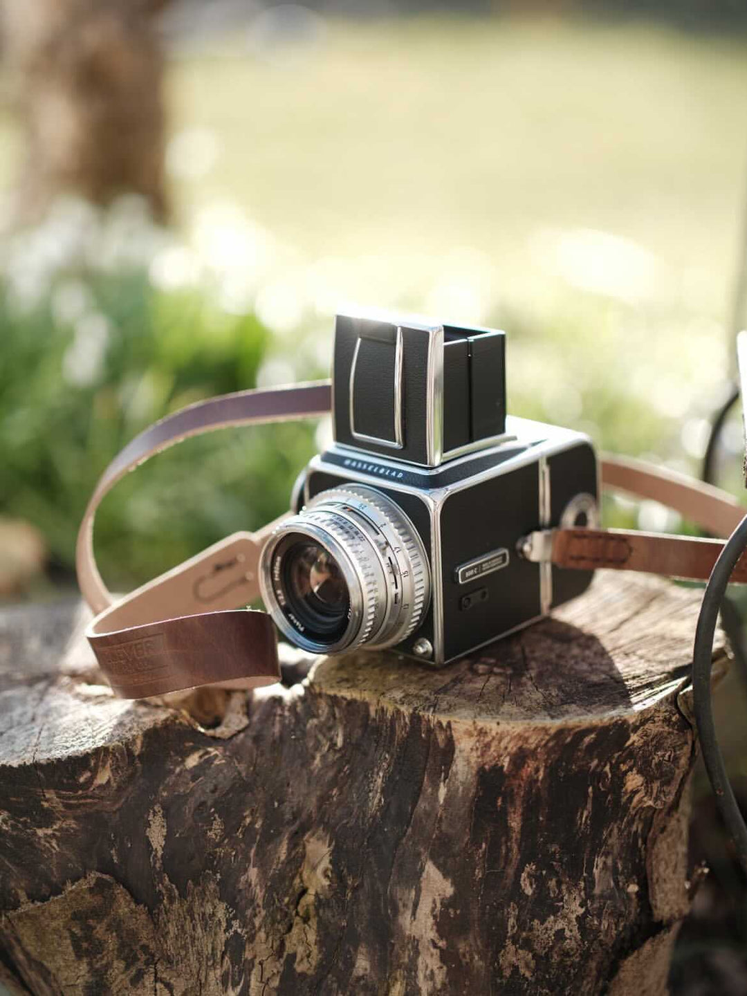 Clever Supply Co Medium Format Strap