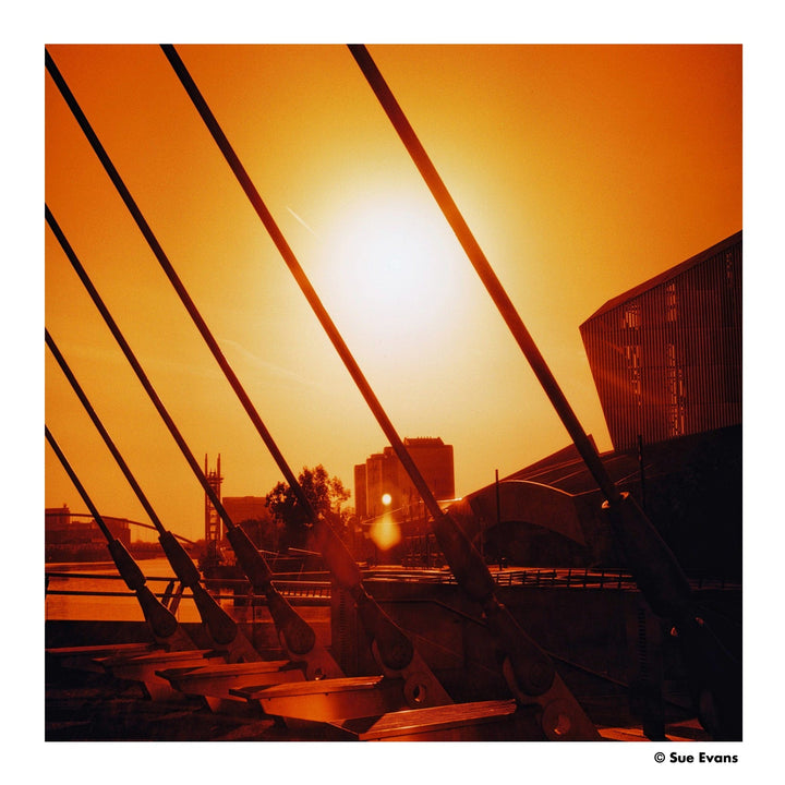 Harman RED, 120 Format (Single Roll)