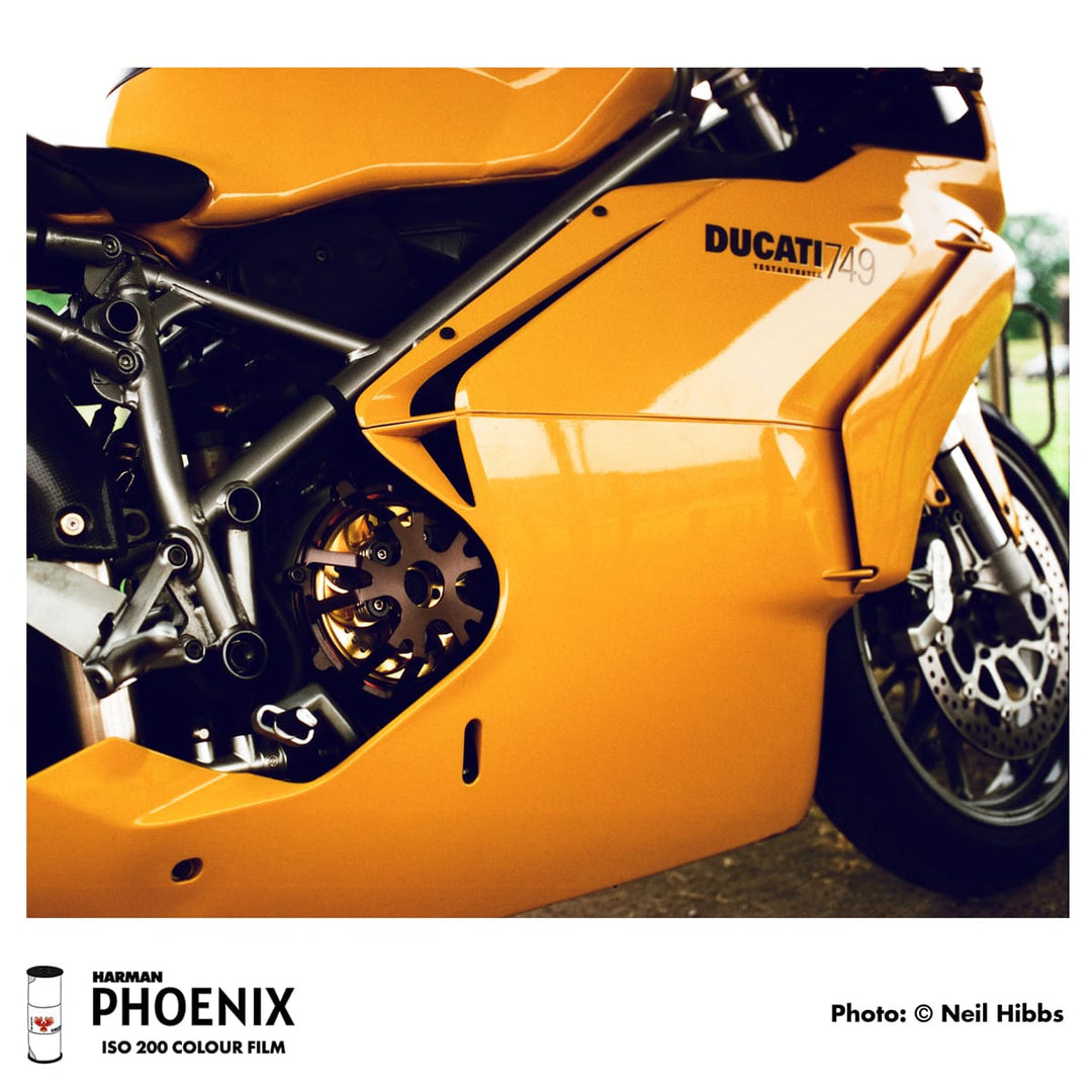 Harman Phoenix 125, 120 Format, C-41 Color Film (Single Roll)