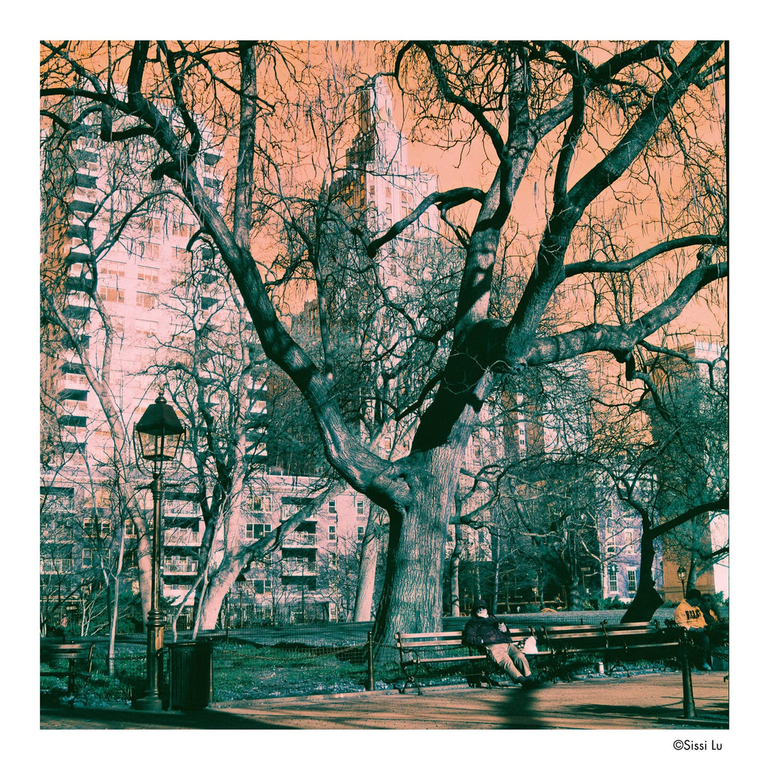 Harman Switch Azure, 120 Format, C-41 Color Film (Single Roll)