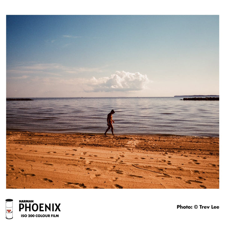 Harman Phoenix 125, 120 Format, C-41 Color Film (Single Roll)