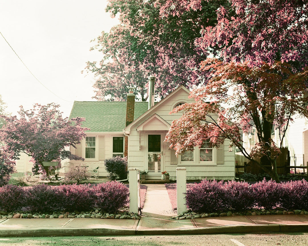 LomoChrome Purple 120 Medium Format ISO 100-400